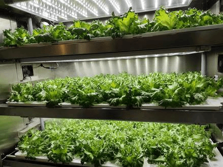 9967ff37ef9504b93c7f76e6c2c0ebf